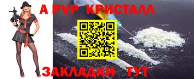 стафф Донской