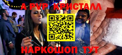 стафф Донской